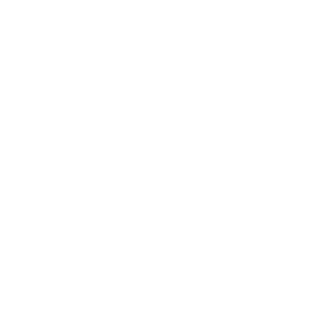 ganvix_logo_vertical